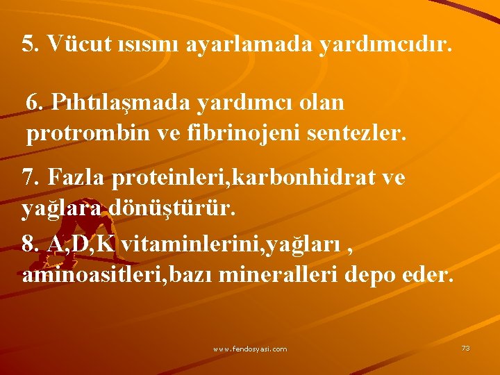5. Vücut ısısını ayarlamada yardımcıdır. 6. Pıhtılaşmada yardımcı olan protrombin ve fibrinojeni sentezler. 7.