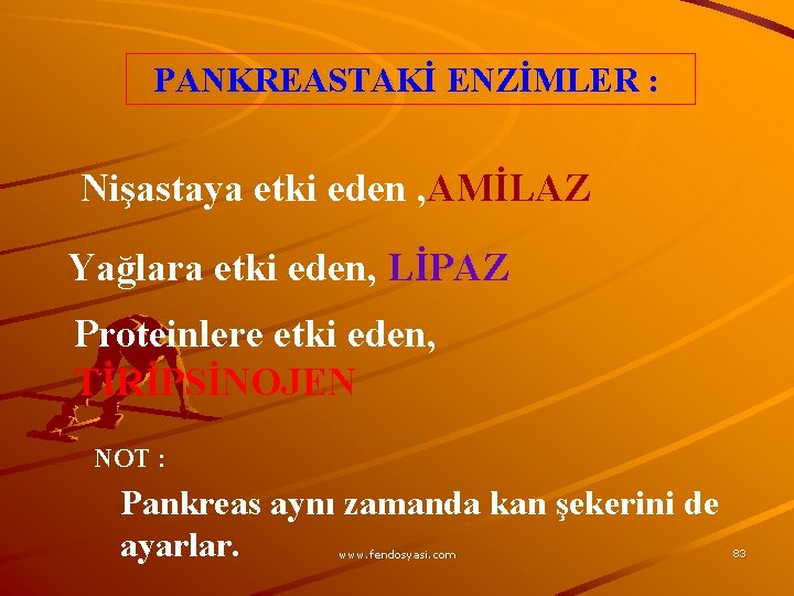 PANKREASTAKİ ENZİMLER : Nişastaya etki eden , AMİLAZ Yağlara etki eden, LİPAZ Proteinlere etki