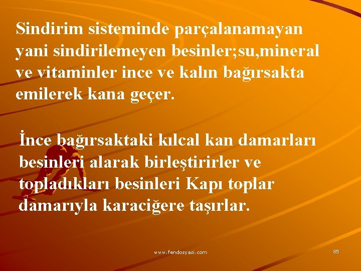 Sindirim sisteminde parçalanamayan yani sindirilemeyen besinler; su, mineral ve vitaminler ince ve kalın bağırsakta