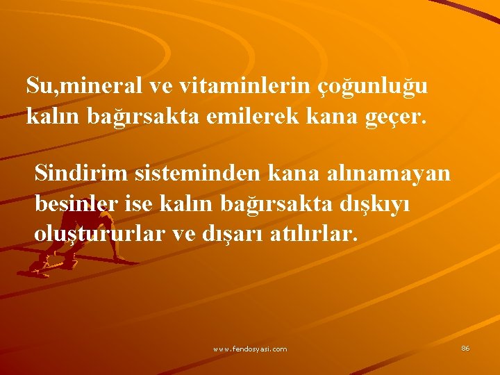 Su, mineral ve vitaminlerin çoğunluğu kalın bağırsakta emilerek kana geçer. Sindirim sisteminden kana alınamayan