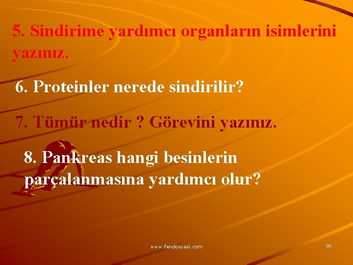 5. Sindirime yardımcı organların isimlerini yazınız. 6. Proteinler nerede sindirilir? 7. Tümür nedir ?