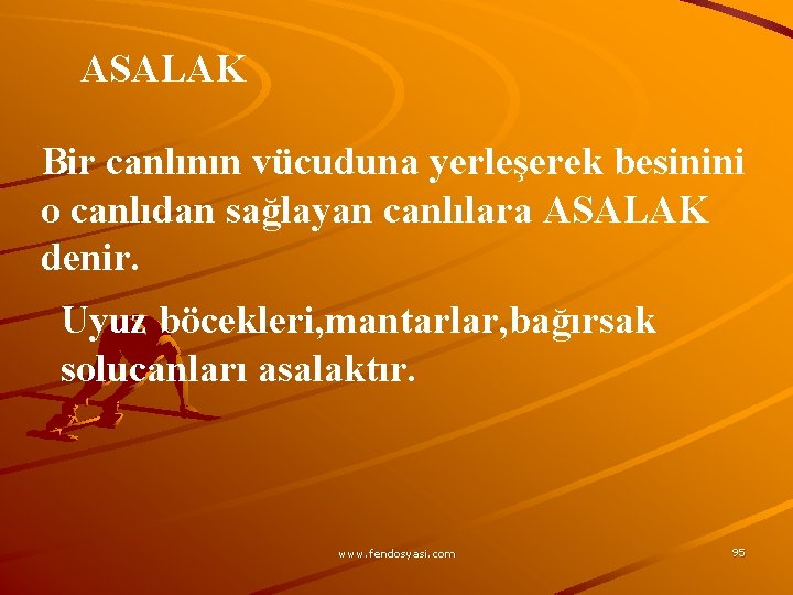 ASALAK Bir canlının vücuduna yerleşerek besinini o canlıdan sağlayan canlılara ASALAK denir. Uyuz böcekleri,