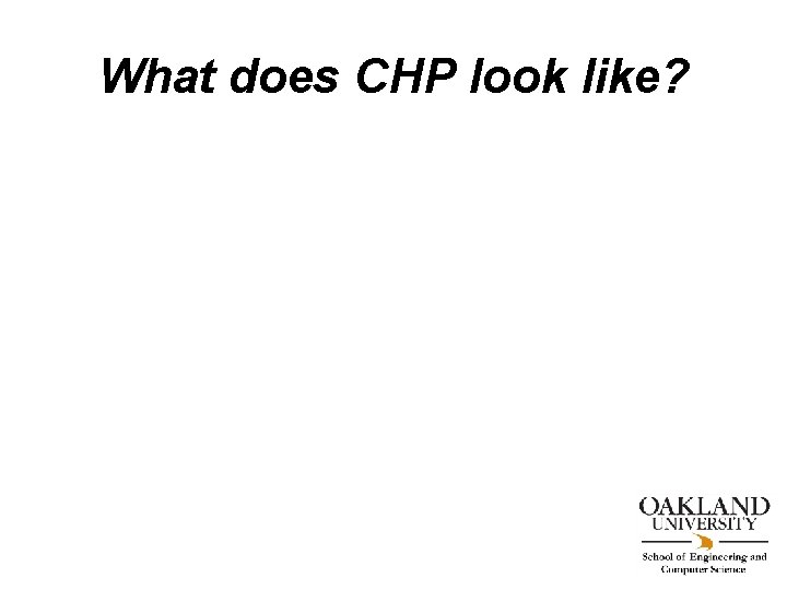 What does CHP look like? 