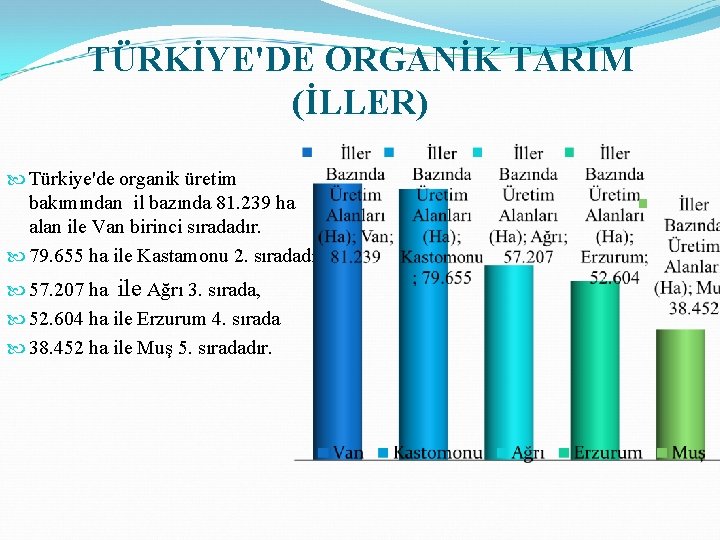 TÜRKİYE'DE ORGANİK TARIM (İLLER) Türkiye'de organik üretim bakımından il bazında 81. 239 ha alan