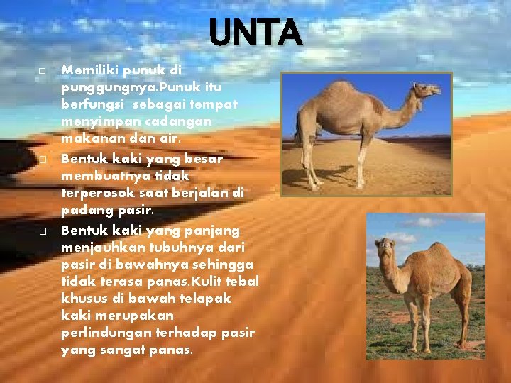 Ilmu Pengetahuan Alam Kelas Vi Semester I Novellia