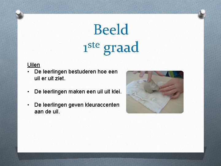 Beeld ste 1 graad Uilen • De leerlingen bestuderen hoe een uil er uit