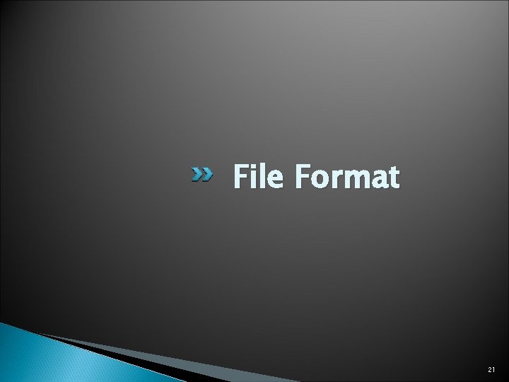 File Format 21 