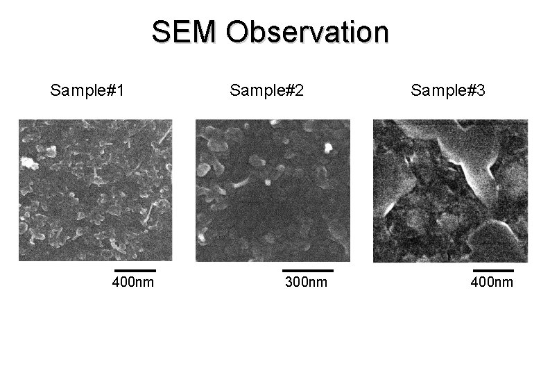 SEM Observation Sample#1 400 nm Sample#2 300 nm Sample#3 400 nm 