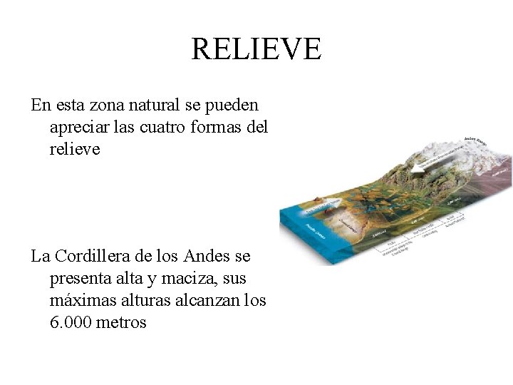 RELIEVE En esta zona natural se pueden apreciar las cuatro formas del relieve La