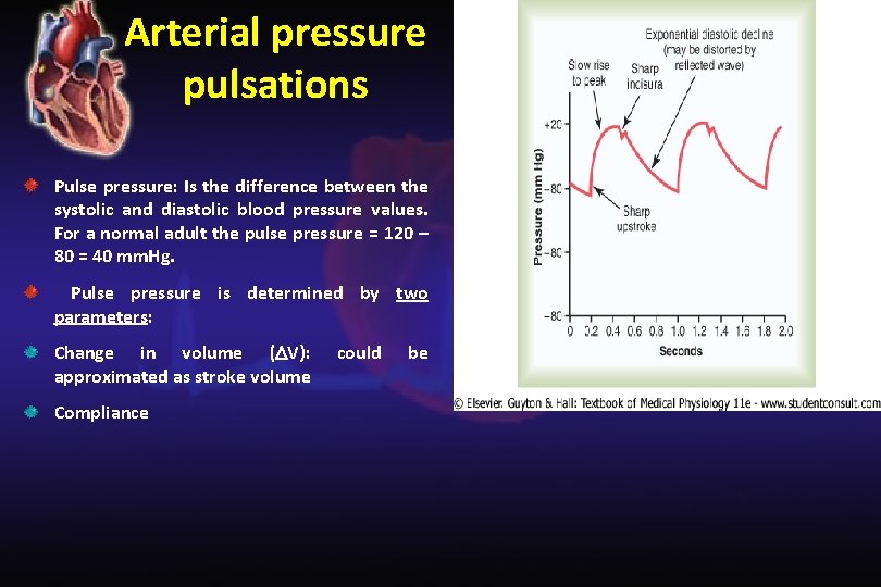 Arterial pressure pulsations Pulse pressure: Is the difference between the systolic and diastolic blood