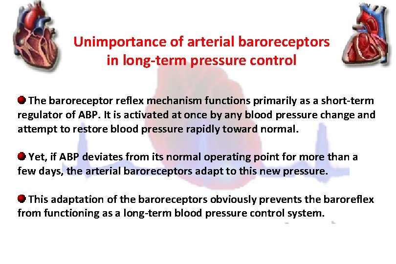 Unimportance of arterial baroreceptors in long-term pressure control The baroreceptor reflex mechanism functions primarily