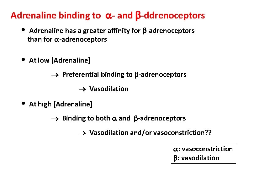 Adrenaline binding to - and -ddrenoceptors • Adrenaline has a greater affinity for -adrenoceptors
