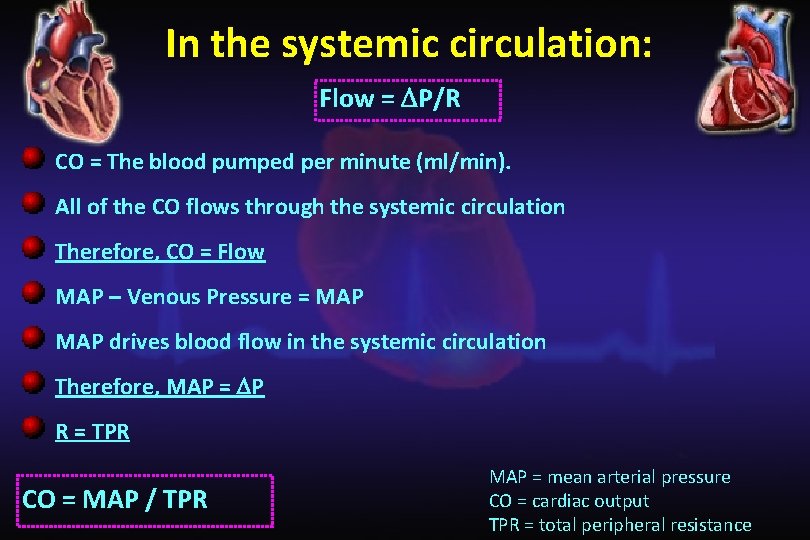 In the systemic circulation: Flow = P/R CO = The blood pumped per minute