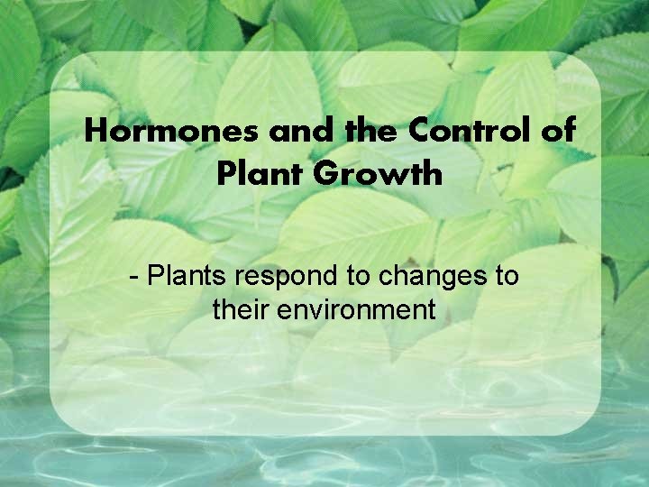 Hormones and the Control of Plant Growth - Plants respond to changes to their