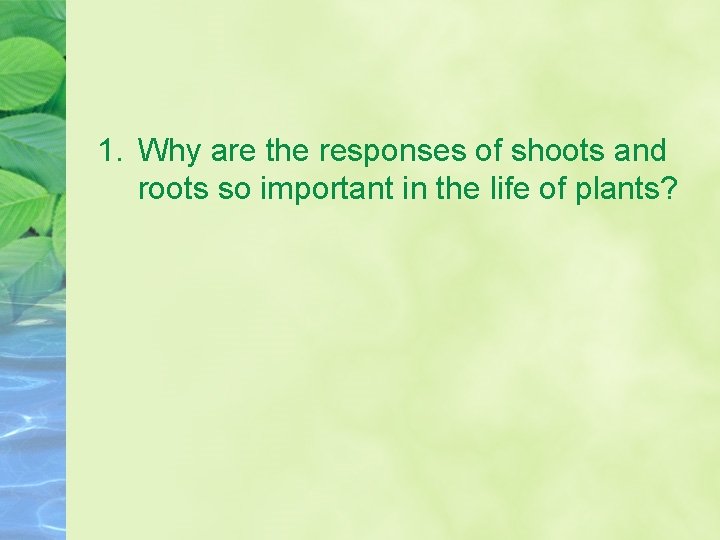 1. Why are the responses of shoots and roots so important in the life