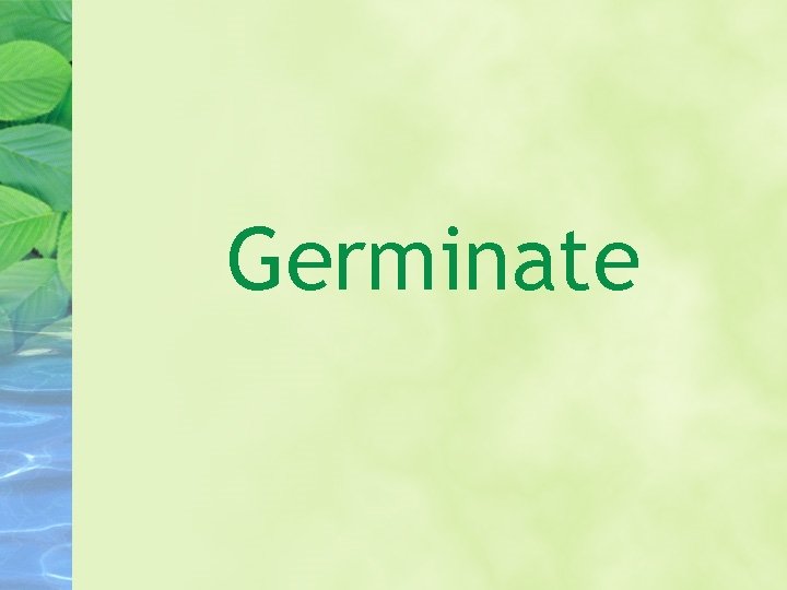Germinate 