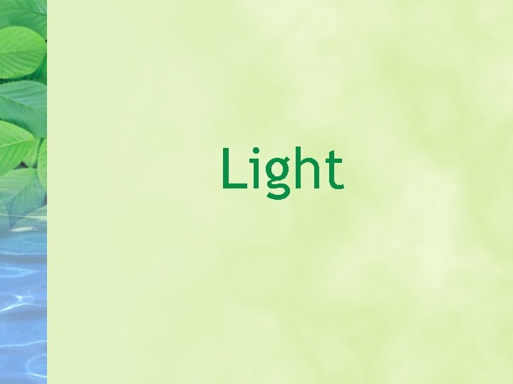 Light 