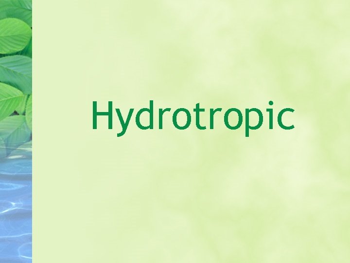 Hydrotropic 