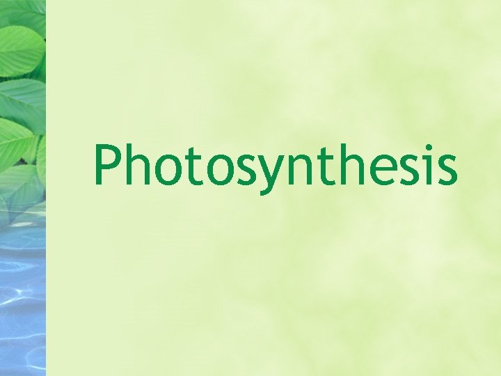 Photosynthesis 