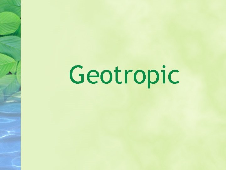 Geotropic 