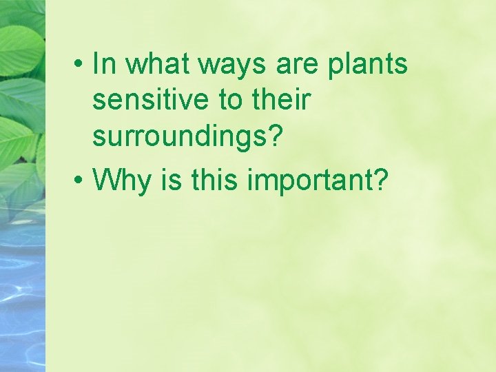  • In what ways are plants sensitive to their surroundings? • Why is