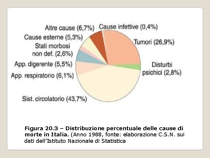 Figura 20. 3 – Distribuzione percentuale delle cause di morte in Italia. (Anno 1988, Figura 20. 3 – Distribuzione percentuale delle cause di morte in Italia. (Anno 1988,