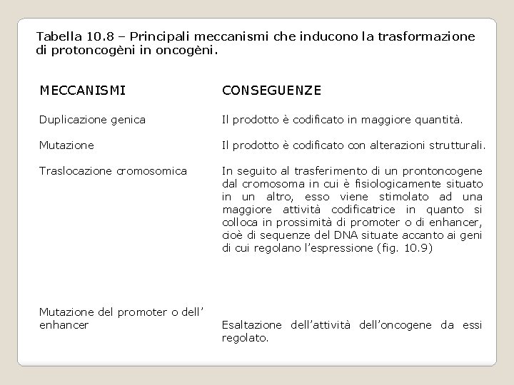 Tabella 10. 8 – Principali meccanismi che inducono la trasformazione di protoncogèni in oncogèni. Tabella 10. 8 – Principali meccanismi che inducono la trasformazione di protoncogèni in oncogèni.
