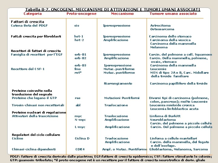 Tabella 8 -7. ONCOGENI, MECCANISMI DI ATTIVAZIONE E TUMORI UMANI ASSOCIATI Categoria Fattori di Tabella 8 -7. ONCOGENI, MECCANISMI DI ATTIVAZIONE E TUMORI UMANI ASSOCIATI Categoria Fattori di
