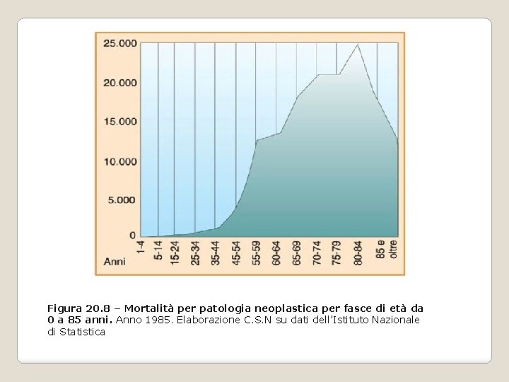 Figura 20. 8 – Mortalità per patologia neoplastica per fasce di età da 0 Figura 20. 8 – Mortalità per patologia neoplastica per fasce di età da 0