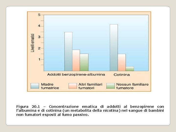 Figura 20. 1 – Concentrazione ematica di addotti al benzopirene con l’albumina e di Figura 20. 1 – Concentrazione ematica di addotti al benzopirene con l’albumina e di