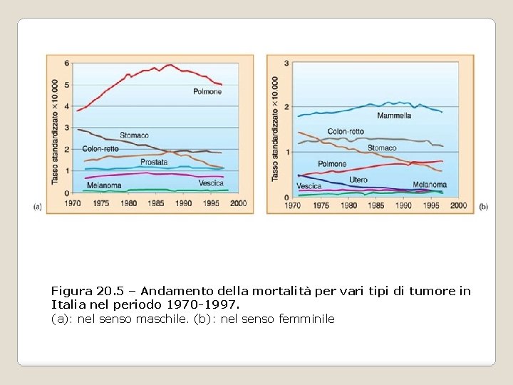 Figura 20. 5 – Andamento della mortalità per vari tipi di tumore in Italia Figura 20. 5 – Andamento della mortalità per vari tipi di tumore in Italia