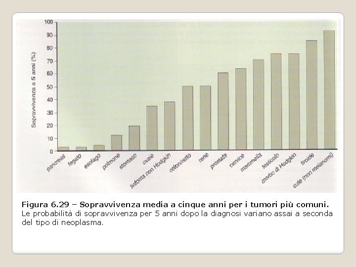 Figura 6. 29 – Sopravvivenza media a cinque anni per i tumori più comuni. Figura 6. 29 – Sopravvivenza media a cinque anni per i tumori più comuni.
