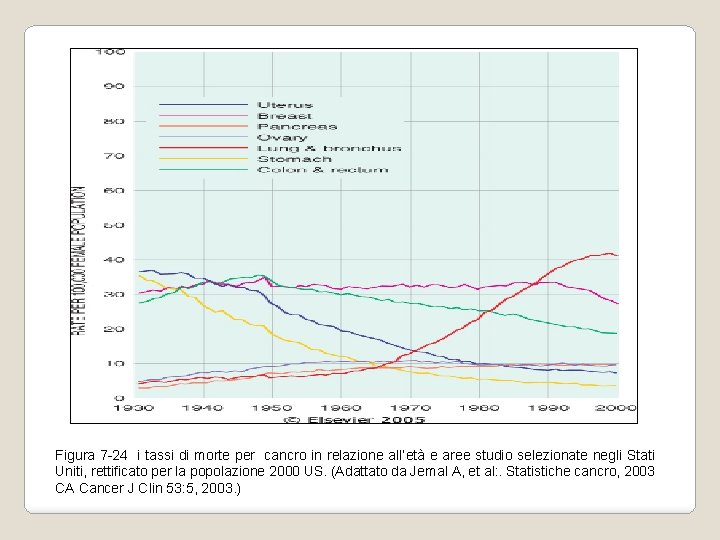 Figura 7 -24 i tassi di morte per cancro in relazione all’età e aree Figura 7 -24 i tassi di morte per cancro in relazione all’età e aree