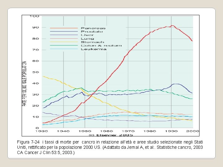 Figura 7 -24 i tassi di morte per cancro in relazione all’età e aree Figura 7 -24 i tassi di morte per cancro in relazione all’età e aree