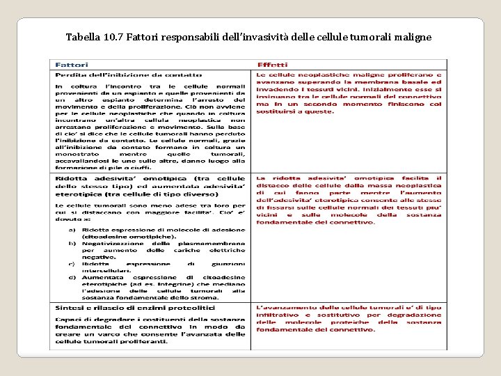 Tabella 10. 7 Fattori responsabili dell’invasività delle cellule tumorali maligne Tabella 10. 7 Fattori responsabili dell’invasività delle cellule tumorali maligne