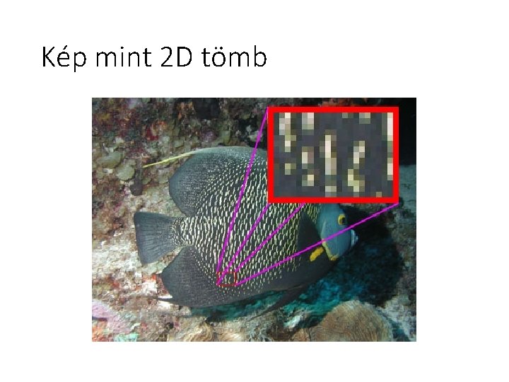 Kép mint 2 D tömb Kép mint 2 D tömb