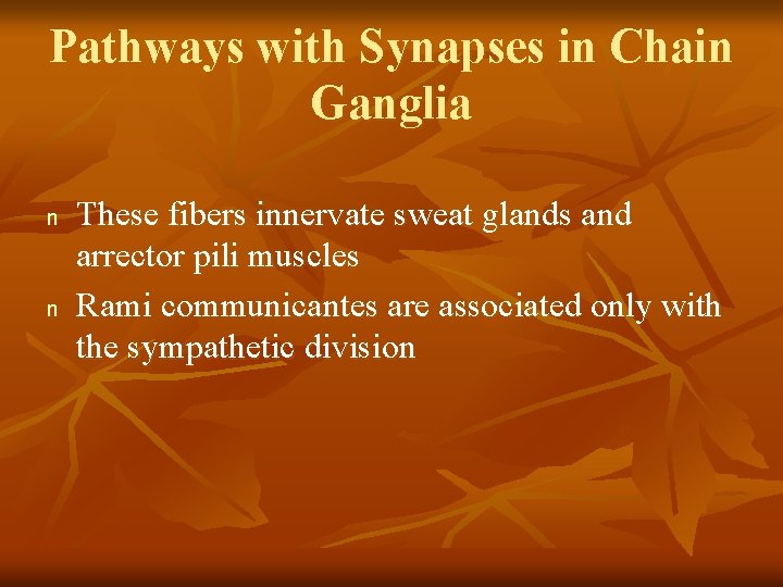Pathways with Synapses in Chain Ganglia n n These fibers innervate sweat glands and