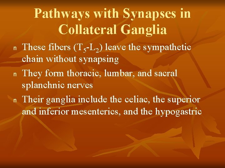Pathways with Synapses in Collateral Ganglia n n n These fibers (T 5 -L