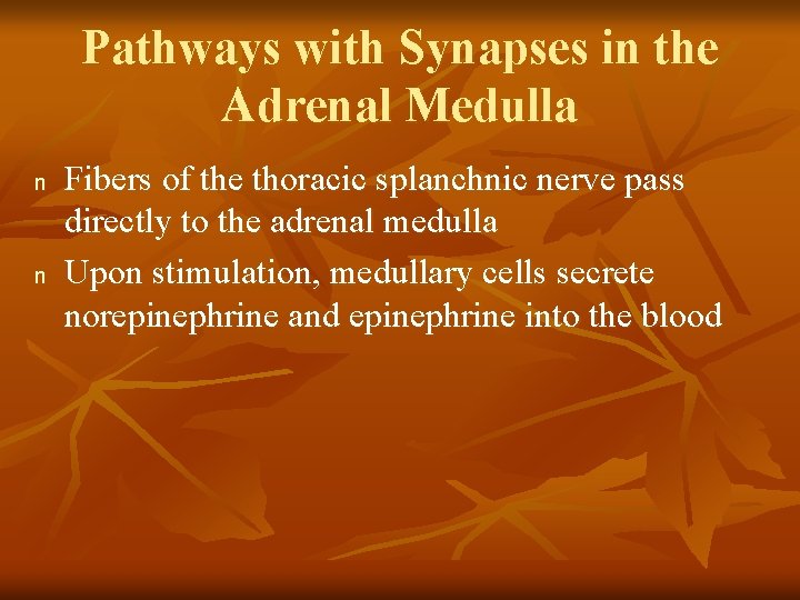 Pathways with Synapses in the Adrenal Medulla n n Fibers of the thoracic splanchnic