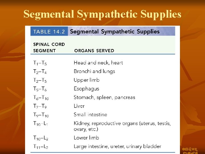 Segmental Sympathetic Supplies Table 