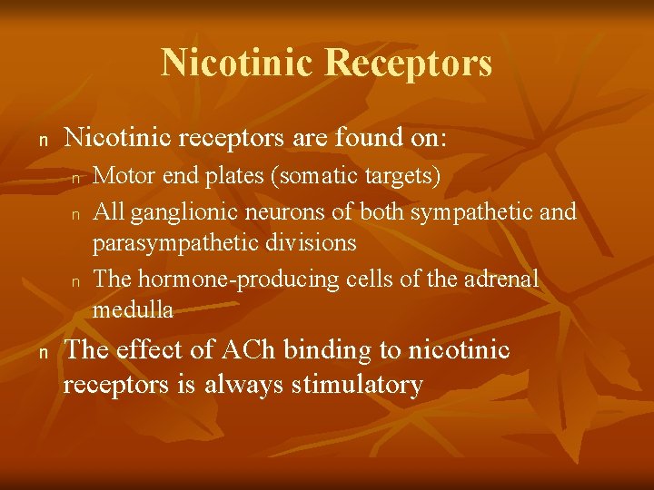 Nicotinic Receptors n Nicotinic receptors are found on: n n Motor end plates (somatic