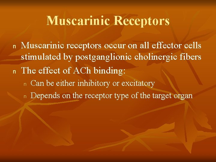 Muscarinic Receptors n n Muscarinic receptors occur on all effector cells stimulated by postganglionic