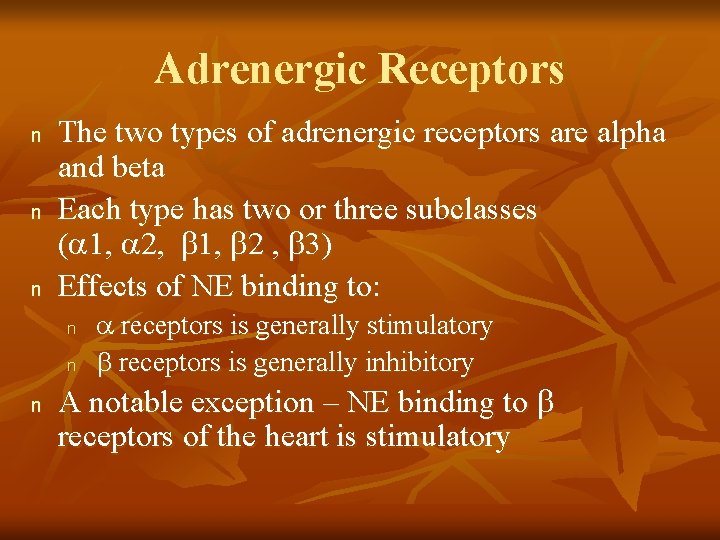 Adrenergic Receptors n n n The two types of adrenergic receptors are alpha and