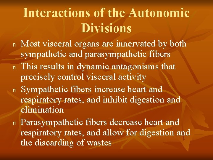 Interactions of the Autonomic Divisions n n Most visceral organs are innervated by both