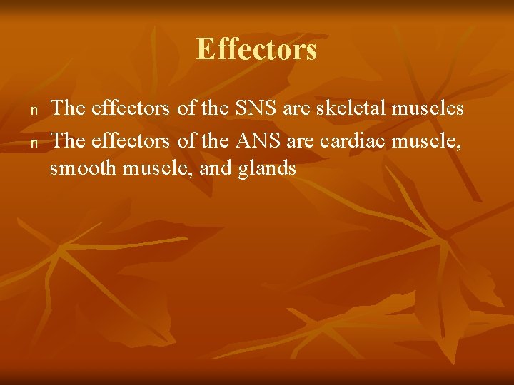 Effectors n n The effectors of the SNS are skeletal muscles The effectors of
