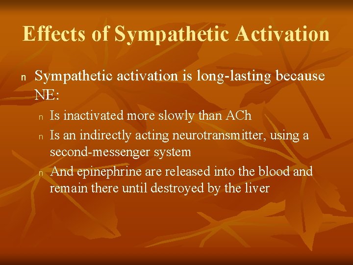 Effects of Sympathetic Activation n Sympathetic activation is long-lasting because NE: n n n
