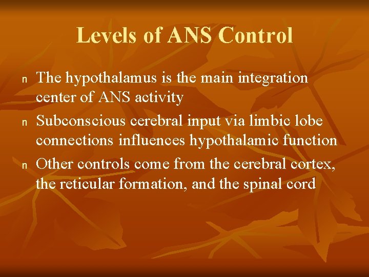 Levels of ANS Control n n n The hypothalamus is the main integration center