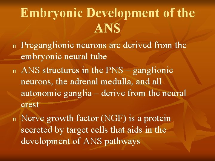 Embryonic Development of the ANS n n n Preganglionic neurons are derived from the