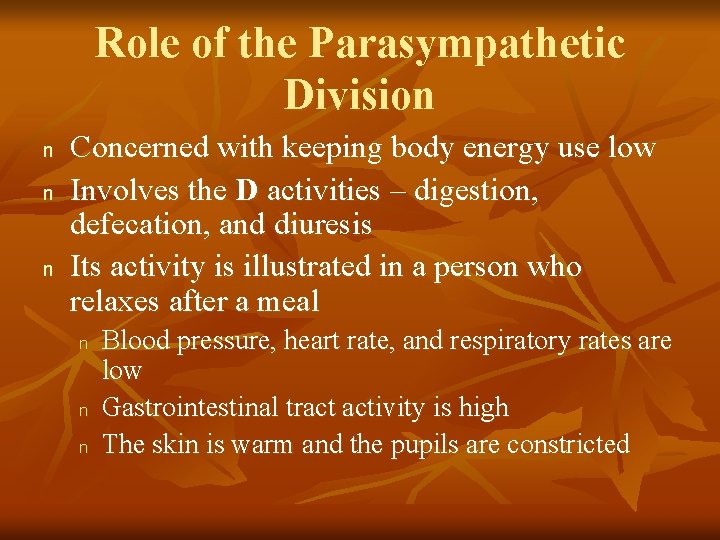 Role of the Parasympathetic Division n Concerned with keeping body energy use low Involves