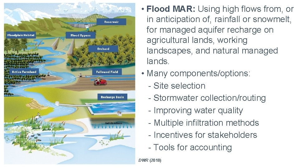  • Flood MAR: Using high flows from, or in anticipation of, rainfall or